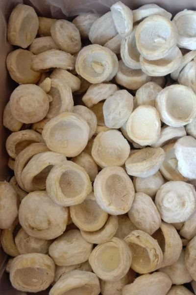 Food Yard Export Quality