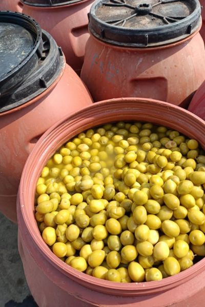 Green Olives (Pitted)