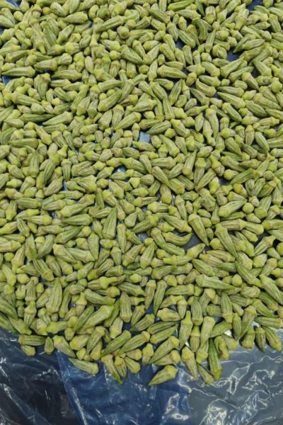 Frozen Okra