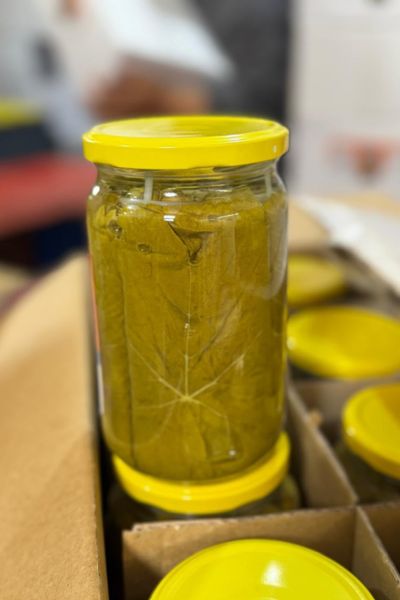 Egyptian Grape Leaves