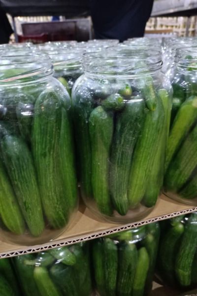 Pickled Cucumbers