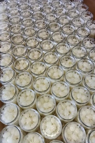 Pickled Pearl Onions