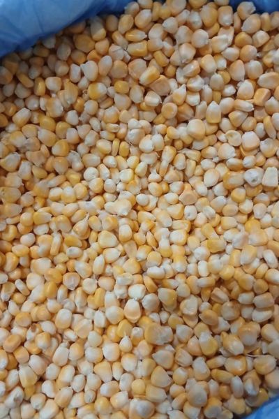 Frozen Kernels Sweet Yellow Corn