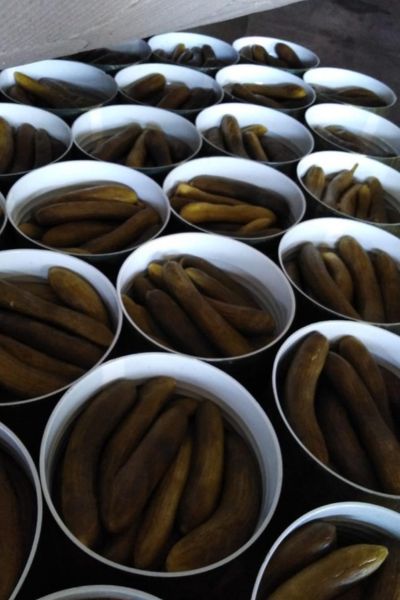 Pickled Cucumbers