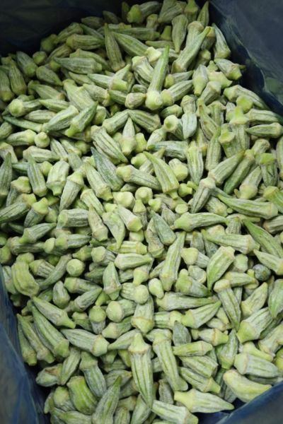 Frozen Okra