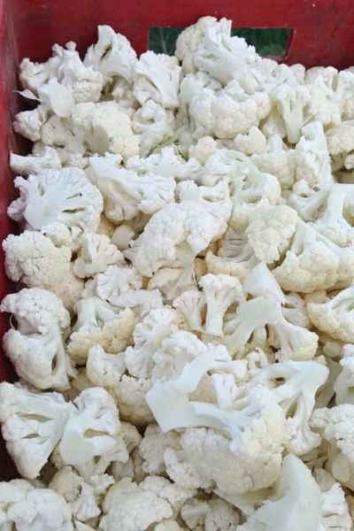 Cauliflower Florets