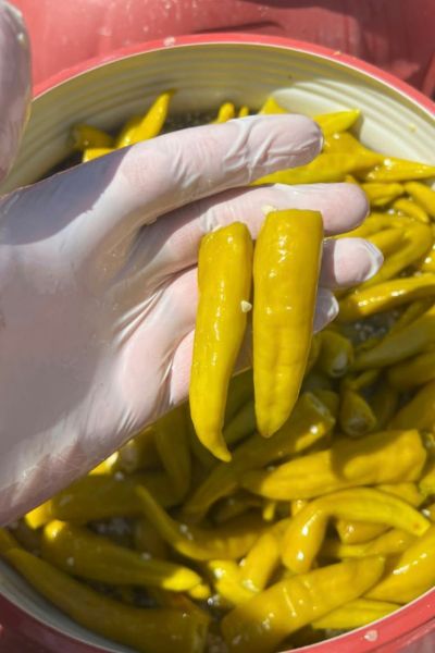 Pickled Yellow Pepper