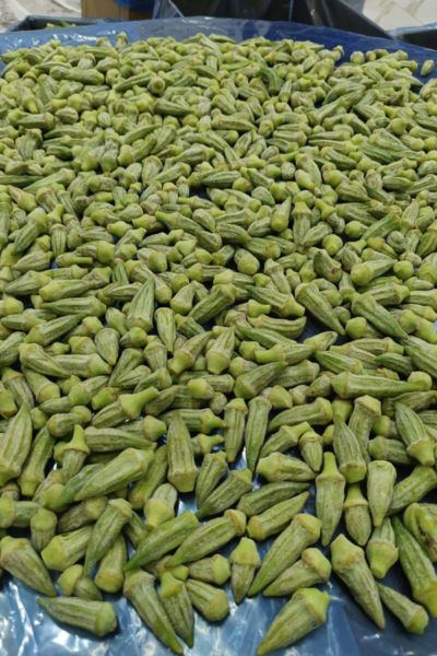 Frozen Okra