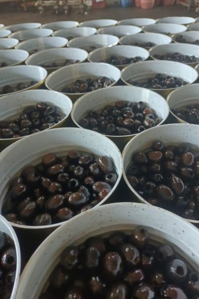 Black Olives (Pitted)